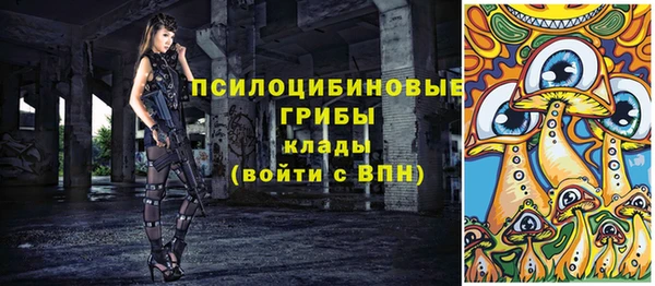 прущая мука Абаза