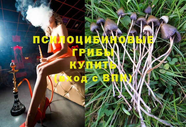 амфетамин Няндома