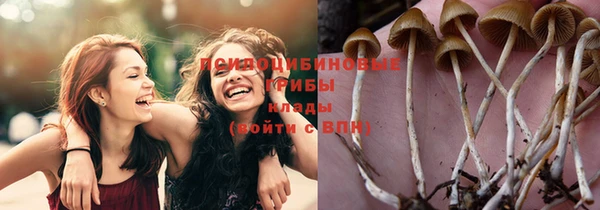 сатива Нязепетровск